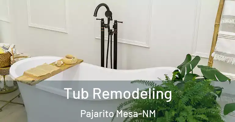 inner Bathroom imggen Tub Remodeling Pajarito Mesa-NM