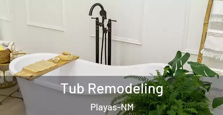 inner Bathroom imggen Tub Remodeling Playas-NM