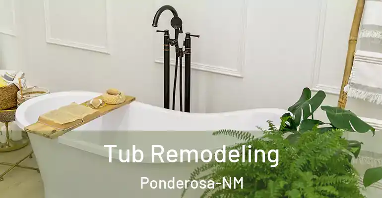 inner Bathroom imggen Tub Remodeling Ponderosa-NM