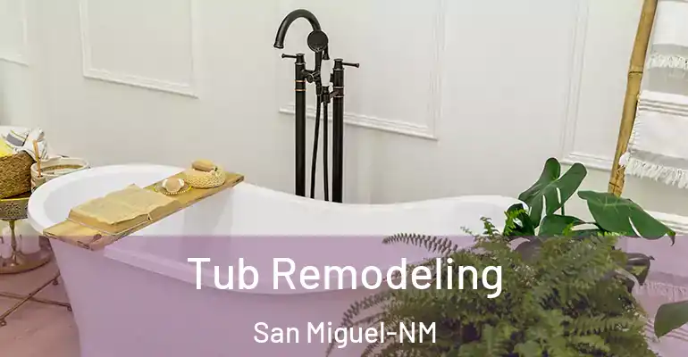 inner Bathroom imggen Tub Remodeling San Miguel-NM