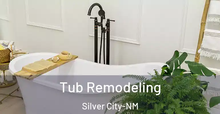 inner Bathroom imggen Tub Remodeling Silver City-NM