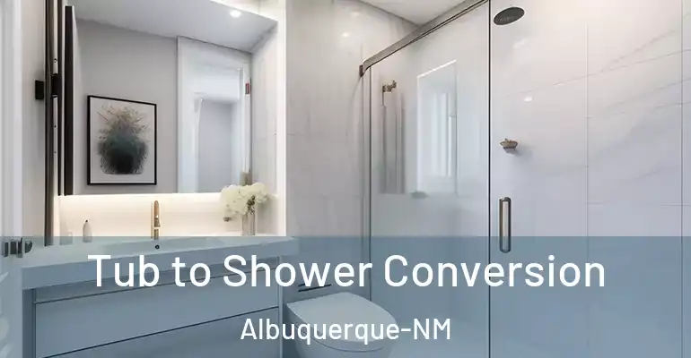 inner Bathroom imggen Tub to Shower Conversion Albuquerque-NM