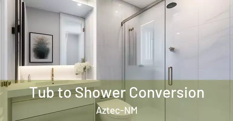 inner Bathroom imggen Tub to Shower Conversion Aztec-NM