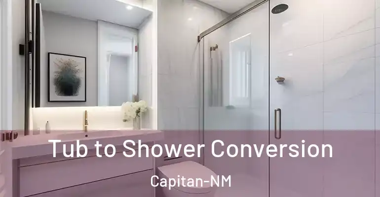 inner Bathroom imggen Tub to Shower Conversion Capitan-NM