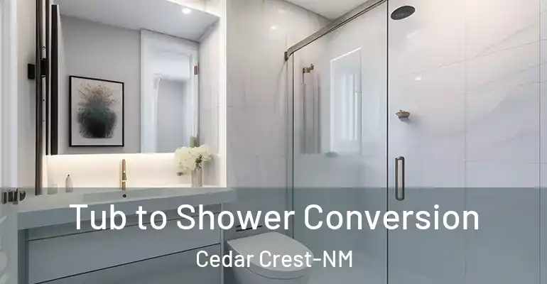 inner Bathroom imggen Tub to Shower Conversion Cedar Crest-NM