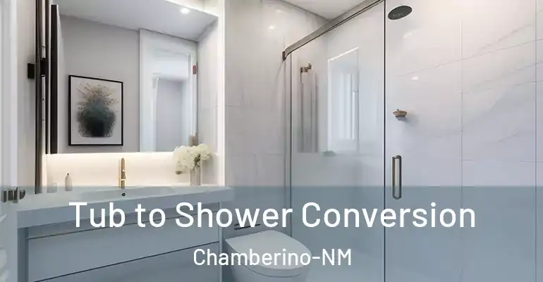 inner Bathroom imggen Tub to Shower Conversion Chamberino-NM