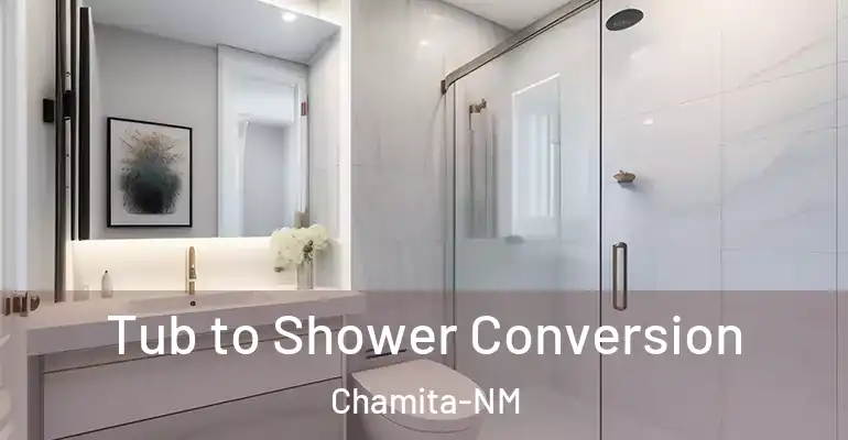 inner Bathroom imggen Tub to Shower Conversion Chamita-NM