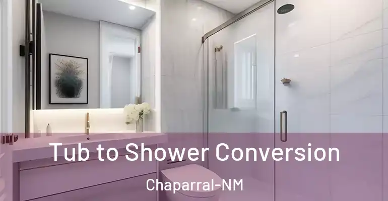inner Bathroom imggen Tub to Shower Conversion Chaparral-NM