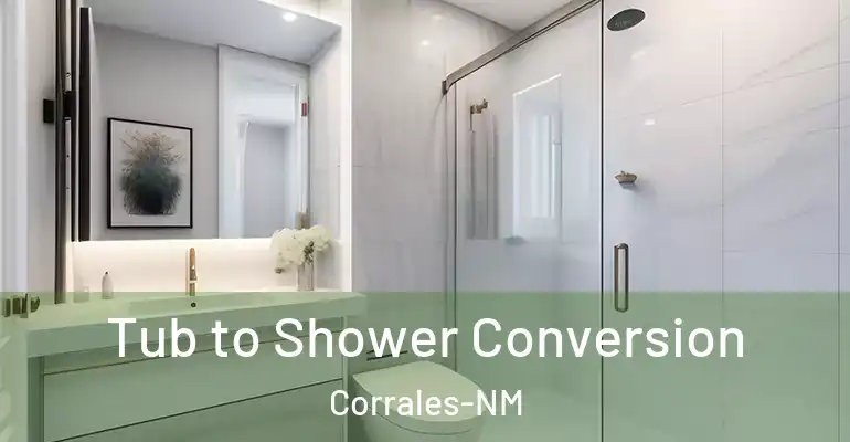 inner Bathroom imggen Tub to Shower Conversion Corrales-NM