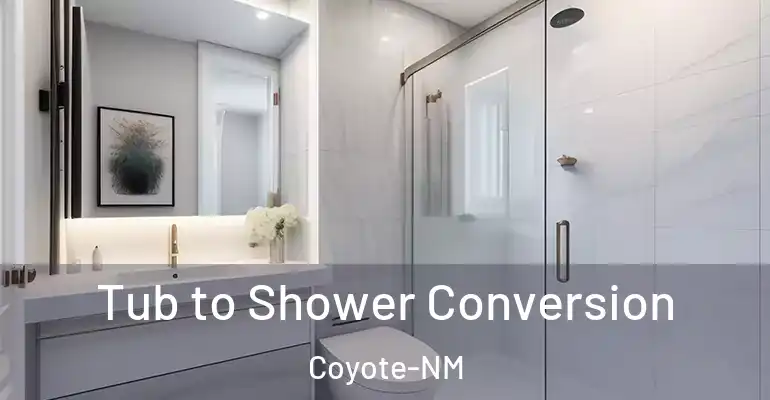 inner Bathroom imggen Tub to Shower Conversion Coyote-NM