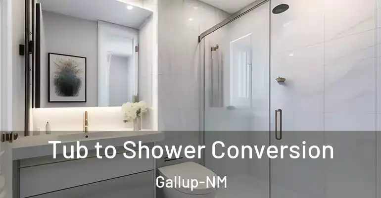 inner Bathroom imggen Tub to Shower Conversion Gallup-NM