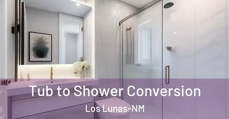 inner Bathroom imggen Tub to Shower Conversion Los Lunas-NM