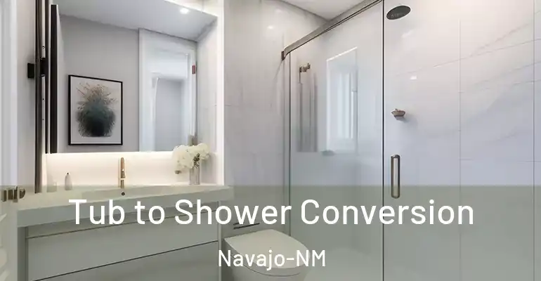 inner Bathroom imggen Tub to Shower Conversion Navajo-NM