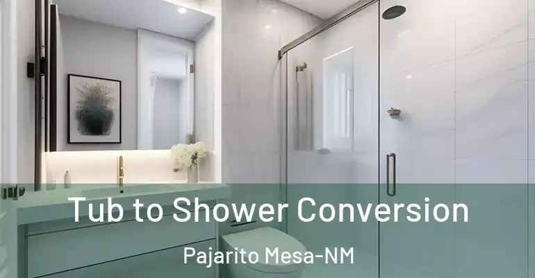 inner Bathroom imggen Tub to Shower Conversion Pajarito Mesa-NM