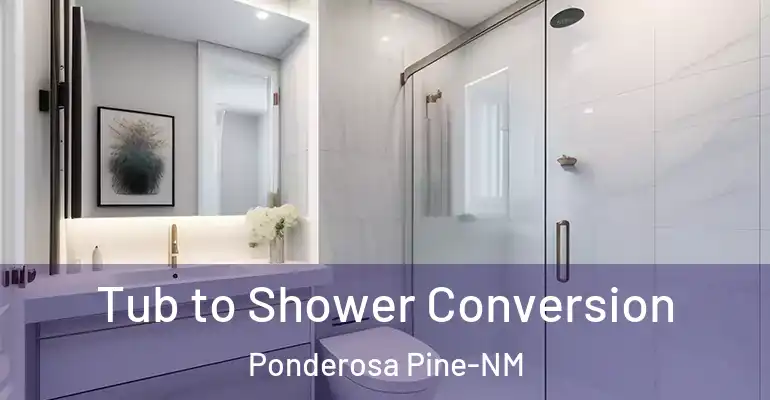 inner Bathroom imggen Tub to Shower Conversion Ponderosa Pine-NM