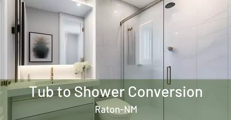 inner Bathroom imggen Tub to Shower Conversion Raton-NM