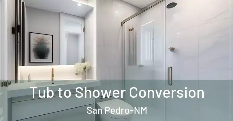 inner Bathroom imggen Tub to Shower Conversion San Pedro-NM