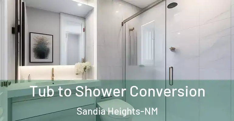 inner Bathroom imggen Tub to Shower Conversion Sandia Heights-NM