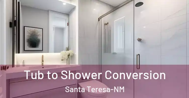 inner Bathroom imggen Tub to Shower Conversion Santa Teresa-NM