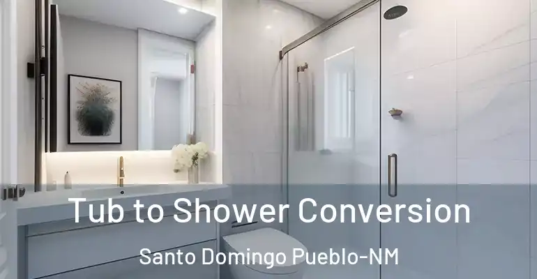 inner Bathroom imggen Tub to Shower Conversion Santo Domingo Pueblo-NM