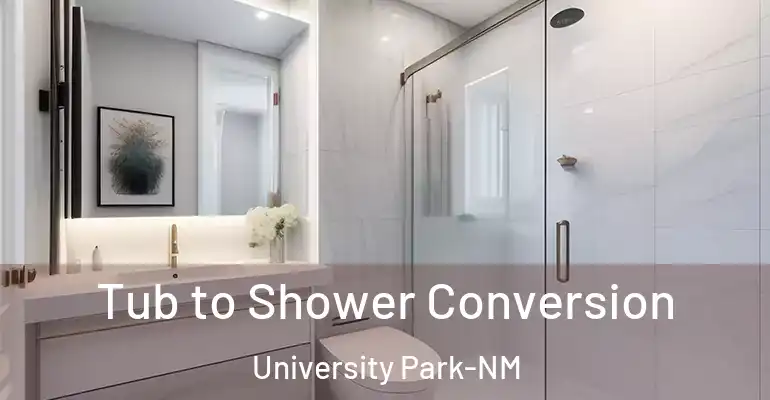 inner Bathroom imggen Tub to Shower Conversion University Park-NM