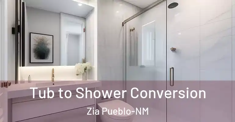 inner Bathroom imggen Tub to Shower Conversion Zia Pueblo-NM