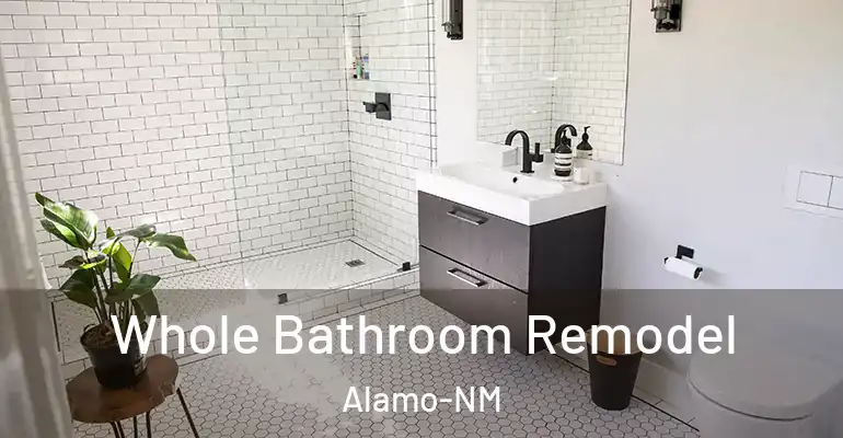 inner Bathroom imggen Whole Bathroom Remodel Alamo-NM