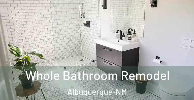 inner Bathroom imggen Whole Bathroom Remodel Albuquerque-NM