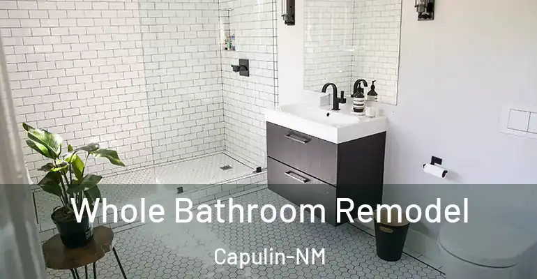 inner Bathroom imggen Whole Bathroom Remodel Capulin-NM