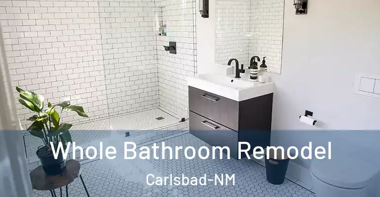 inner Bathroom imggen Whole Bathroom Remodel Carlsbad-NM