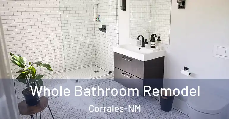 inner Bathroom imggen Whole Bathroom Remodel Corrales-NM