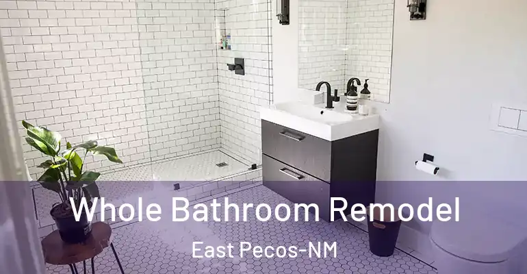 inner Bathroom imggen Whole Bathroom Remodel East Pecos-NM