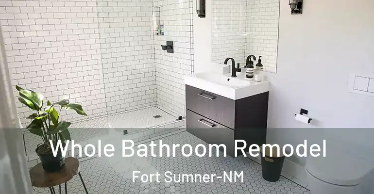 inner Bathroom imggen Whole Bathroom Remodel Fort Sumner-NM