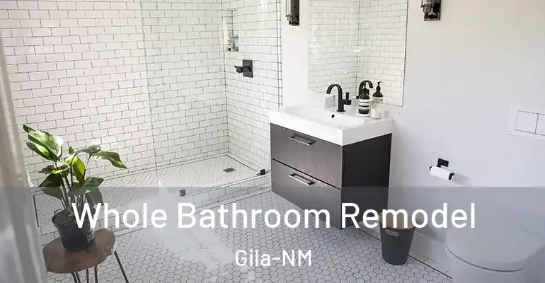 inner Bathroom imggen Whole Bathroom Remodel Gila-NM