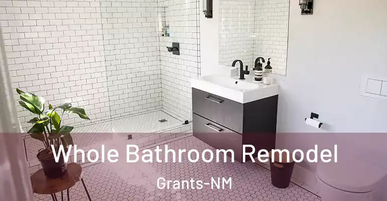 inner Bathroom imggen Whole Bathroom Remodel Grants-NM