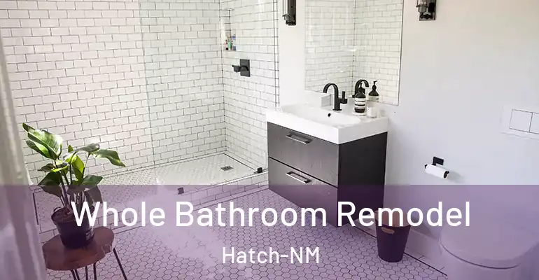 inner Bathroom imggen Whole Bathroom Remodel Hatch-NM