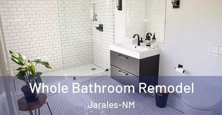 inner Bathroom imggen Whole Bathroom Remodel Jarales-NM