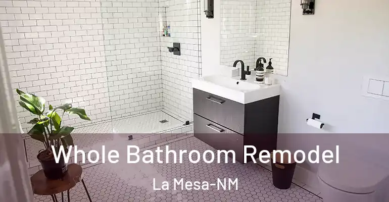 inner Bathroom imggen Whole Bathroom Remodel La Mesa-NM