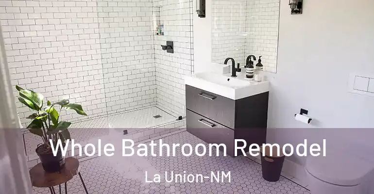 inner Bathroom imggen Whole Bathroom Remodel La Union-NM