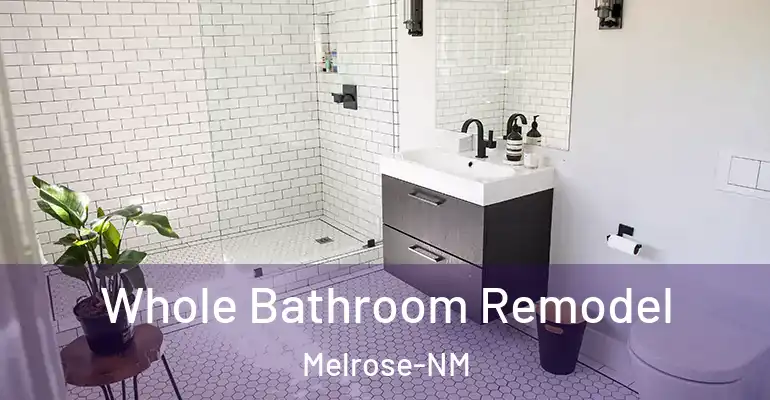 inner Bathroom imggen Whole Bathroom Remodel Melrose-NM