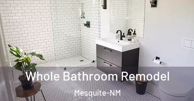 inner Bathroom imggen Whole Bathroom Remodel Mesquite-NM