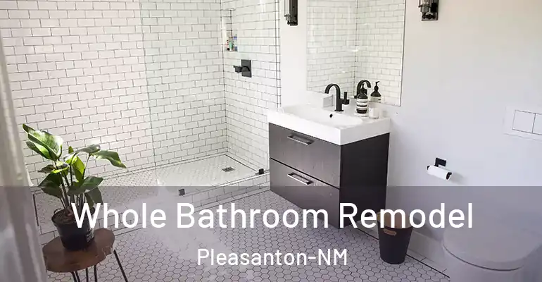 inner Bathroom imggen Whole Bathroom Remodel Pleasanton-NM