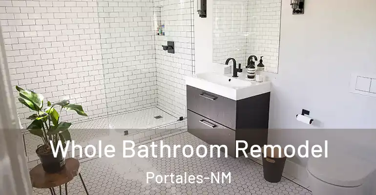 inner Bathroom imggen Whole Bathroom Remodel Portales-NM