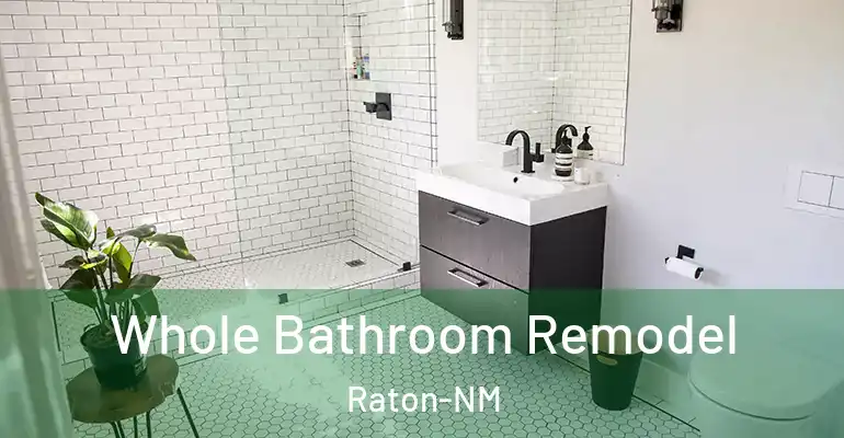 inner Bathroom imggen Whole Bathroom Remodel Raton-NM