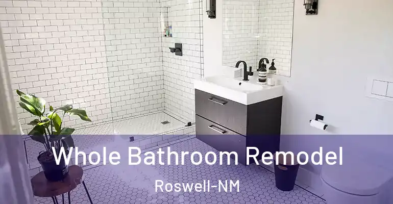 inner Bathroom imggen Whole Bathroom Remodel Roswell-NM