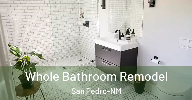 inner Bathroom imggen Whole Bathroom Remodel San Pedro-NM