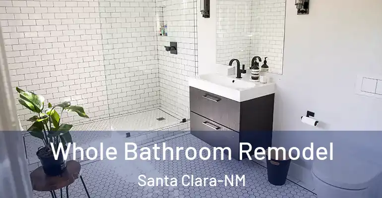inner Bathroom imggen Whole Bathroom Remodel Santa Clara-NM