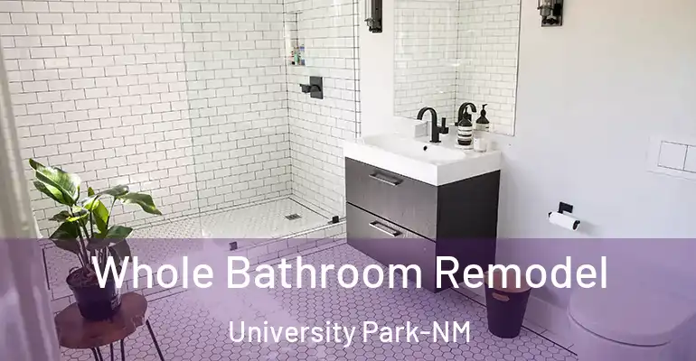 inner Bathroom imggen Whole Bathroom Remodel University Park-NM