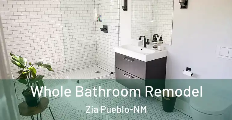 inner Bathroom imggen Whole Bathroom Remodel Zia Pueblo-NM